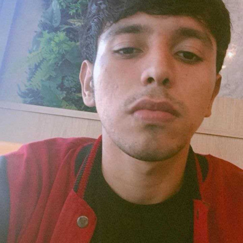 Brayan P. profile photo