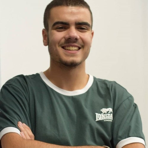 Dinis Ferreira de Almeida e.