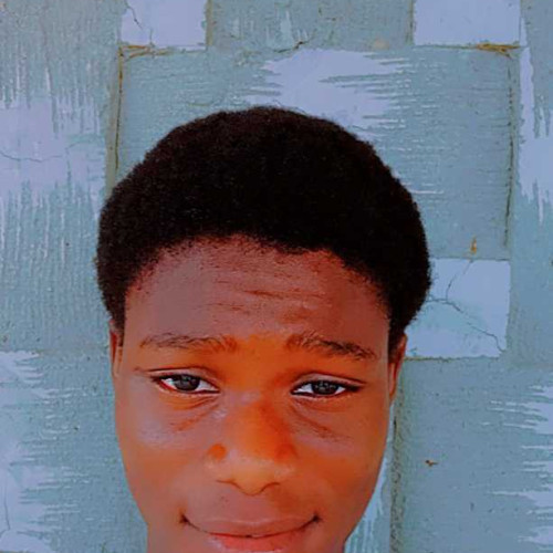 odunlami J. profile photo