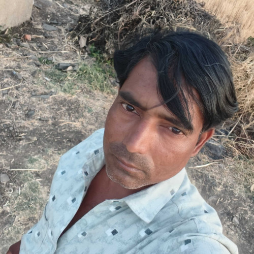 san p. profile photo