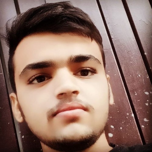 Nitesh  P. profile photo