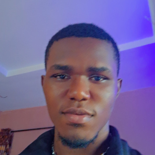 Vizzy N. profile photo