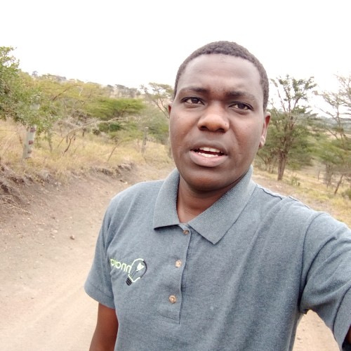 Sije F. profile photo