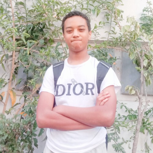 Abdelaali  A.