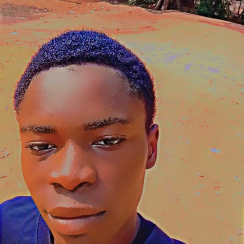 nwolisa g.