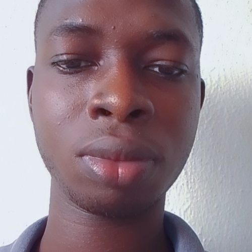 Chinonso E. profile photo