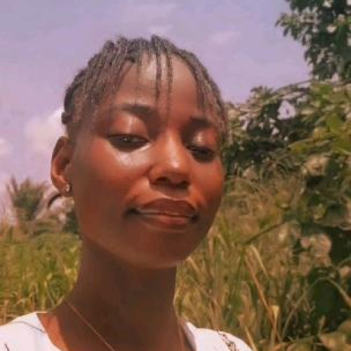 Abolanle  A. profile photo