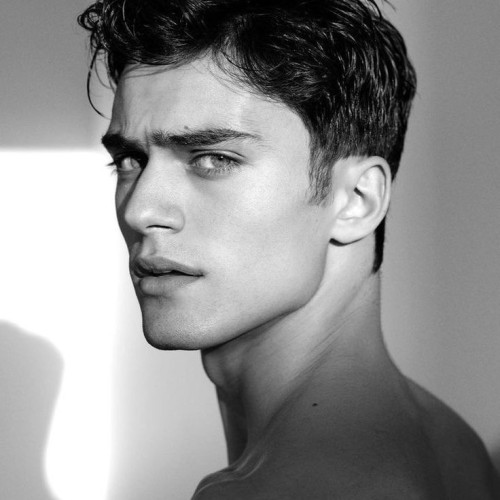 mahdi A. profile photo