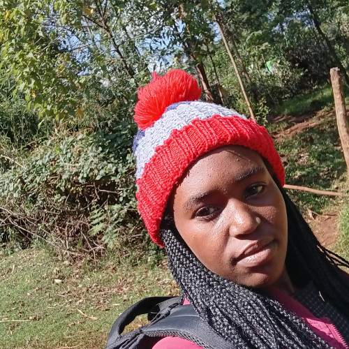 Diana C. profile photo