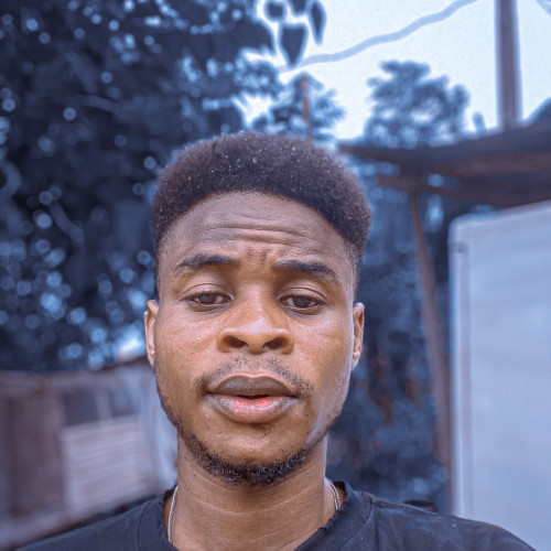  Damilare J. profile photo