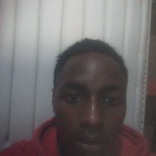 Daniel K. profile photo