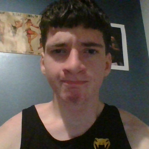 Will H. profile photo