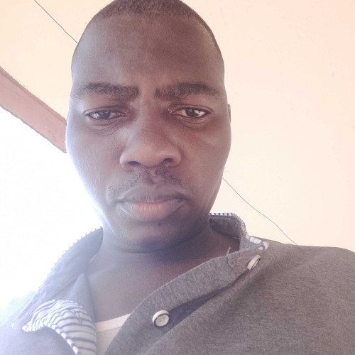 elvice o. profile photo