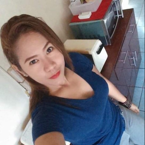 kite n. profile photo