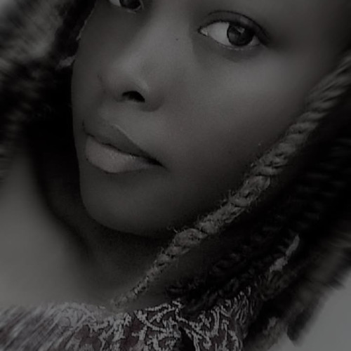 Omri S. profile photo