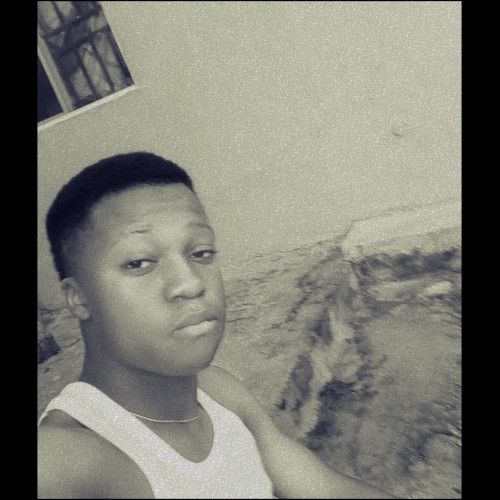 Adeola A. profile photo