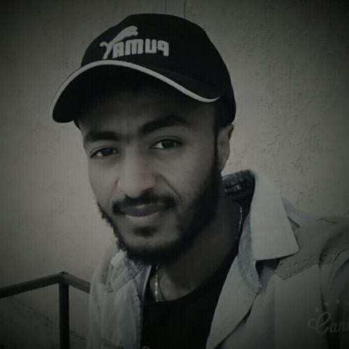 Tsegaye K. profile photo