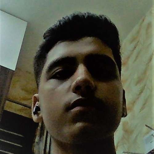 Pulkit V.