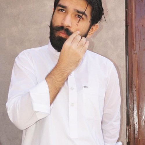 Muhammad Hamza H. profile photo