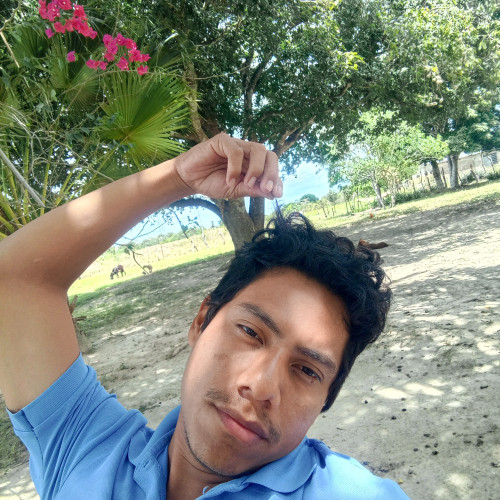 Carlos M. profile photo