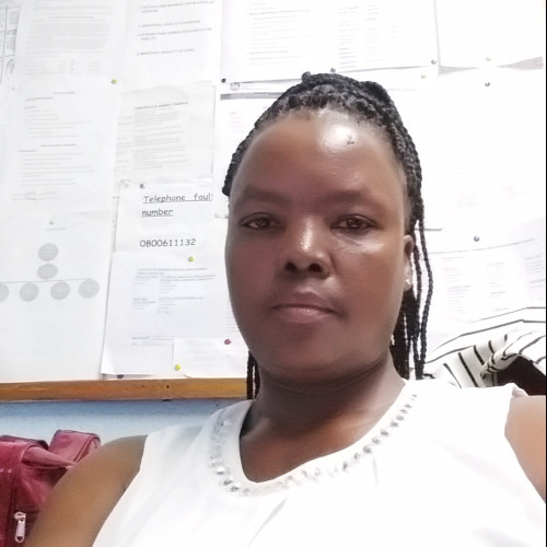 Angel N. profile photo