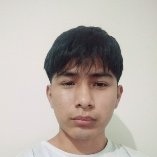 Luis  C. profile photo