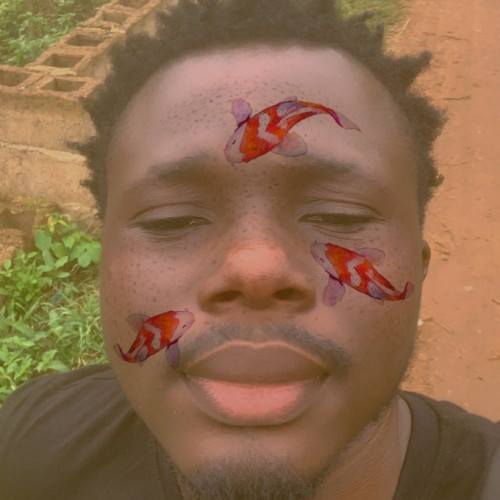 Emmanuel A. profile photo