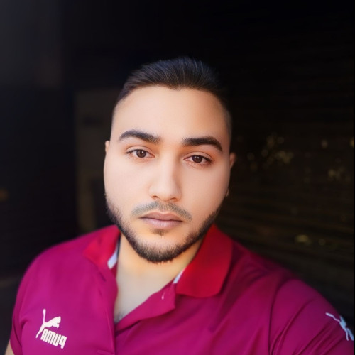 Amir F. profile photo