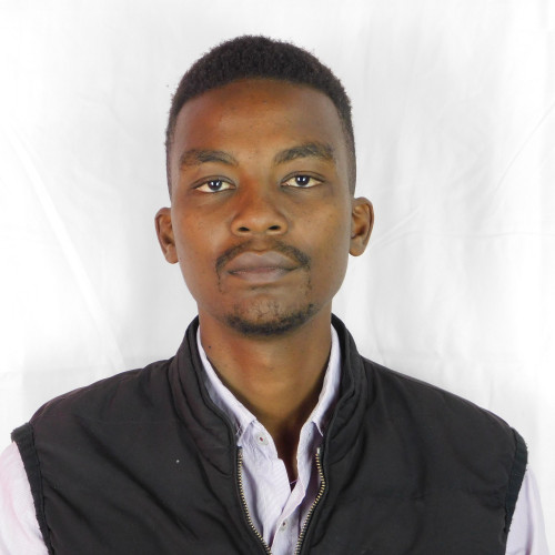 Kelly T. profile photo