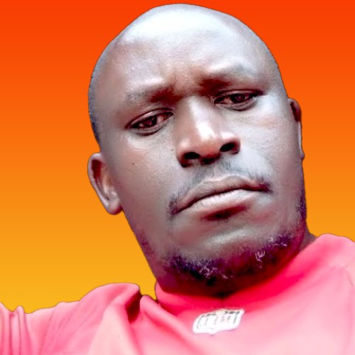 Peter  M. profile photo