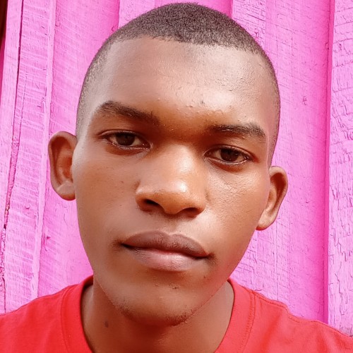 David K. profile photo