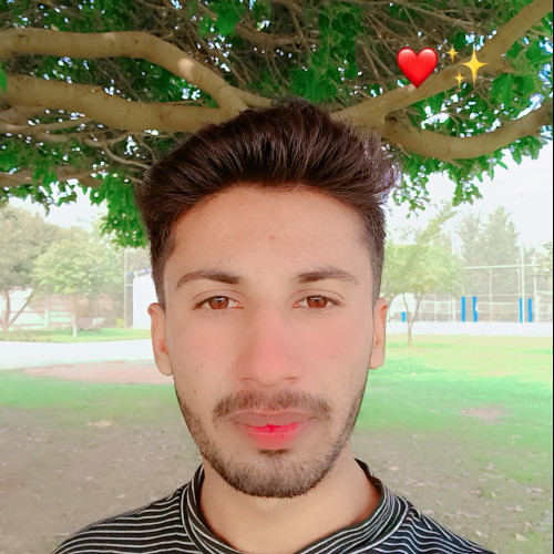 Wajdan  B. profile photo