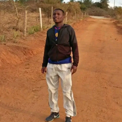 Avedy S. profile photo