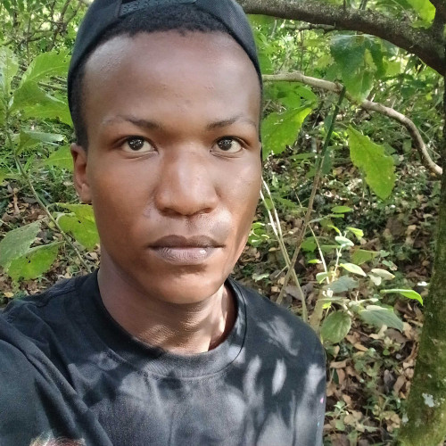 Alvan P. profile photo