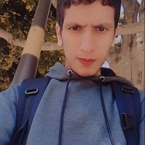Amine J.