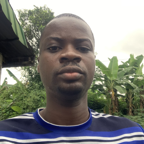 David  I. profile photo