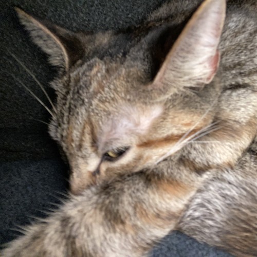 Leonardo G. profile photo