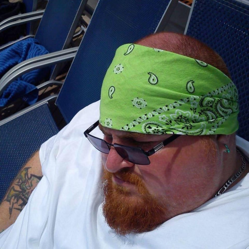 Paul K. profile photo