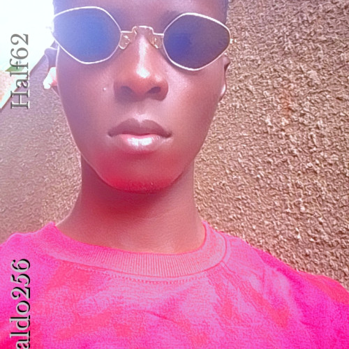 haldo A. profile photo