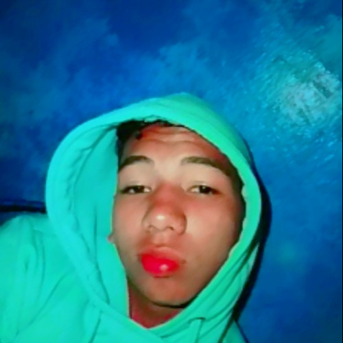 Alexander  P. profile photo