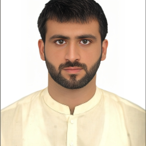 Malik Muhammad Zain Q.