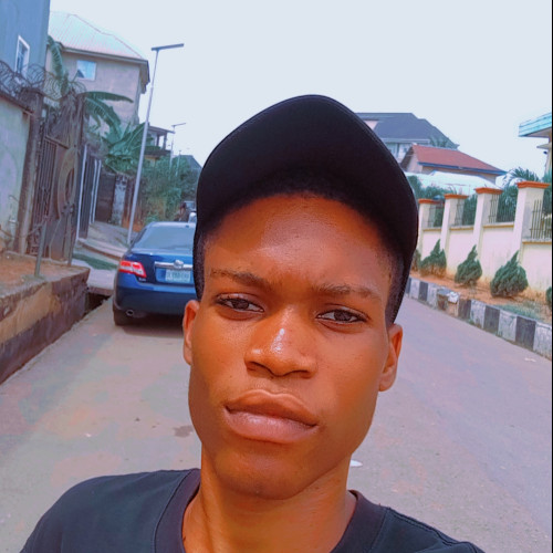 David  M. profile photo