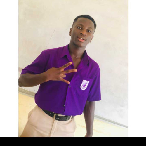 Darko S. profile photo