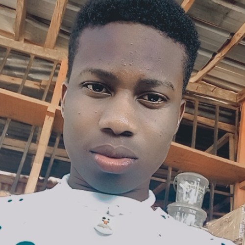 David  E. profile photo