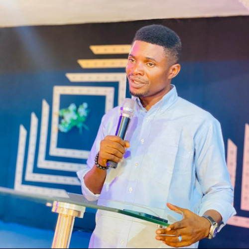 uchechukwu N. profile photo