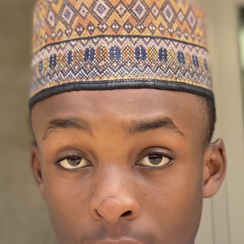 Ahmad  A. profile photo