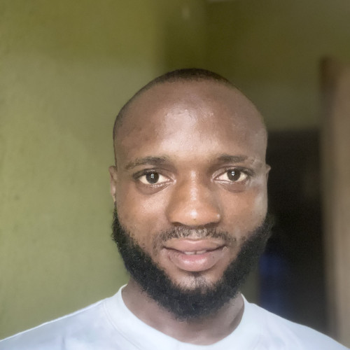 Oludayo T. profile photo