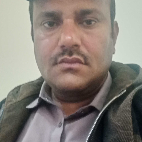 ali r.