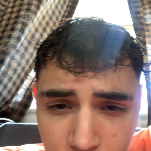 Dylan  Z. profile photo
