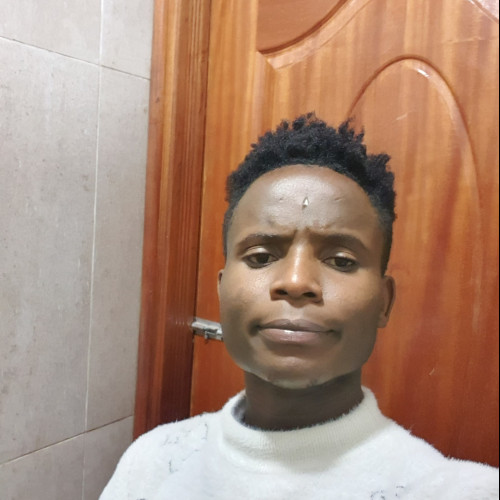 Stansilaus A. profile photo